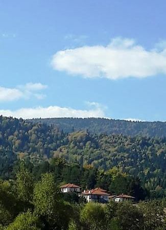 Вили Green Tsigov Chark Exterior foto