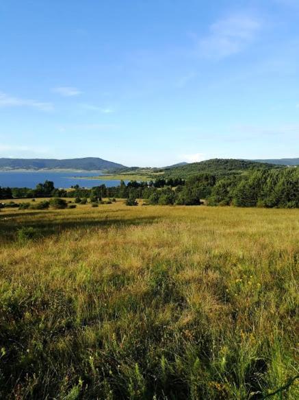 Вили Green Tsigov Chark Exterior foto